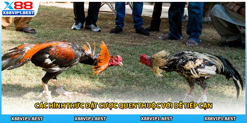 Các hình thức đặt cược quen thuộc với dễ tiếp cận